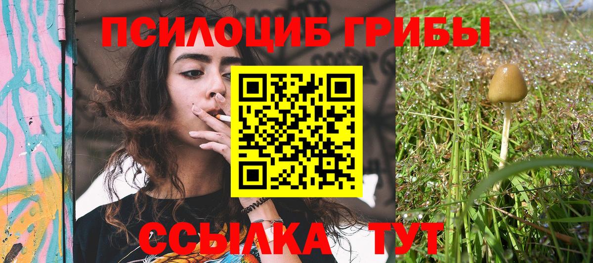 Галлюциногенные грибы ЛСД  Вход с VPN  Лыткарино 
