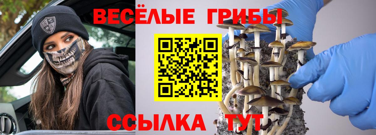 Галлюциногенные грибы мухоморы Лыткарино